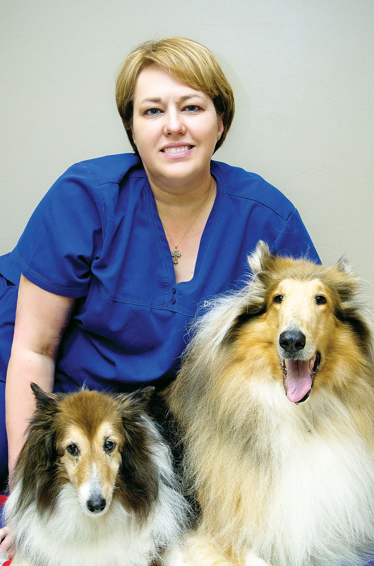 Lynn Mork, DVM